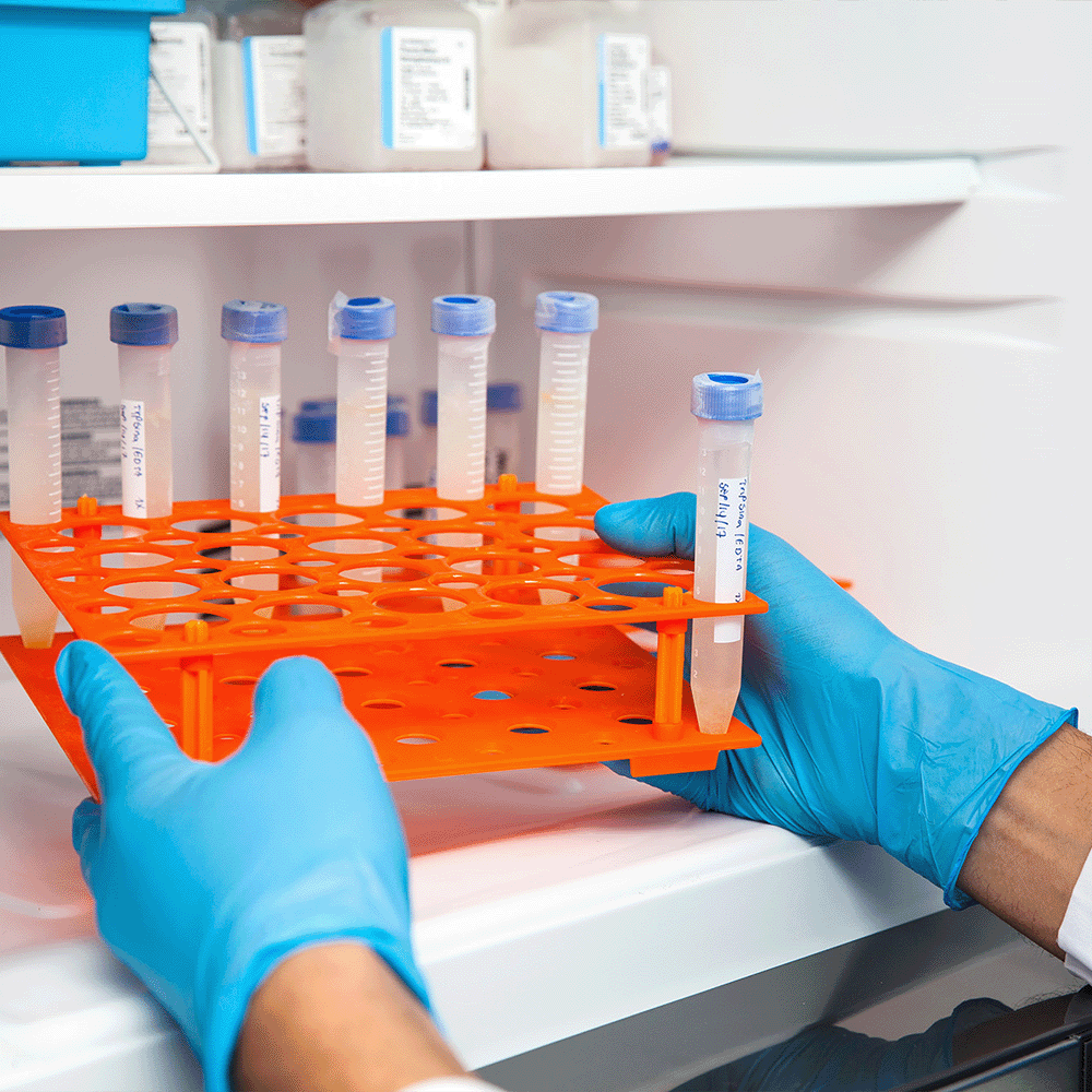 Healthcare & Pharmaceutical Solutions
