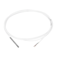 Probe Pt100 TR125 2m