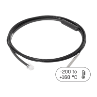 HW Temp 1Wire Pt100 Frost